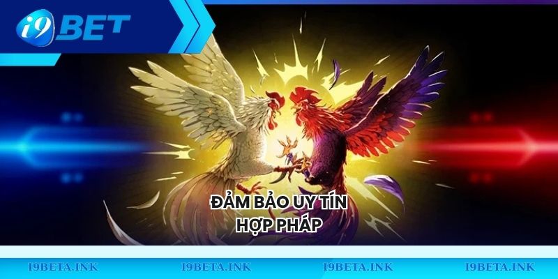 Đảm bảo uy tín, hợp pháp